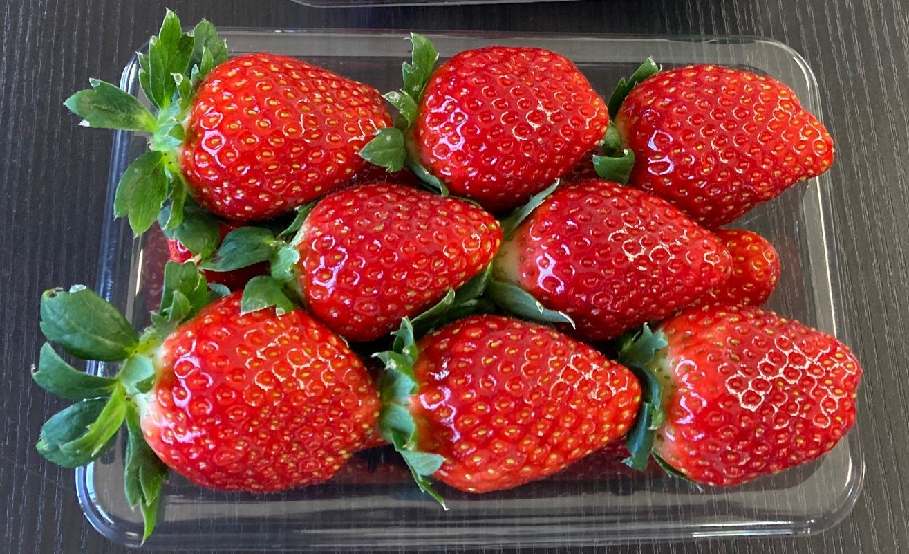 パック入りの鈴木農園のいちごの画像