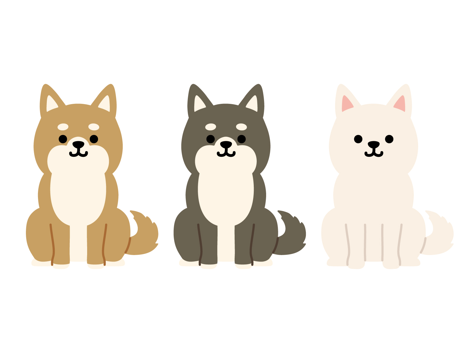 茶、黒、白の三匹の犬が並んでお座りをしているイラスト