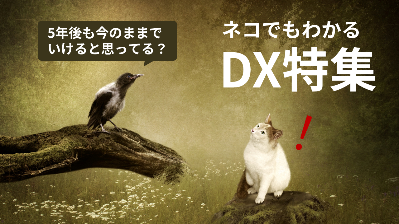 ネコでもわかるDX特集